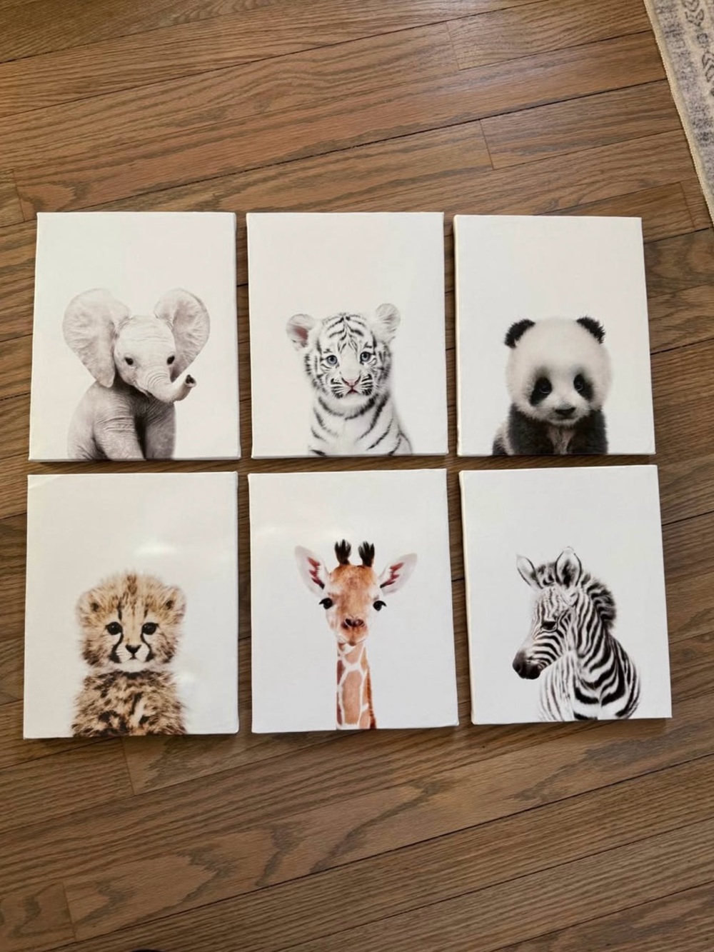 Neutral Baby Safari Animal Wall Art Set - 6 Canvas Prints
